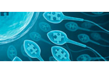 Ayurvedic Clinic in Keonjhar, Sexologist Doctors in Keonjhar, Ayurvedic Doctors in Keonjhar